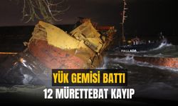 Zonguldak'ta yük gemisi battı | 12 mürettebattan haber alınamıyor