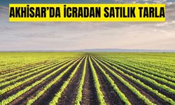 Akhisar'da 15.700 m2 tarla mahkemeden satılık