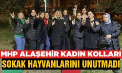 Alaşehir’de sokak hayvanlarına sıcak yuva ve mama