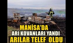 Salihli'de arı kovanları yangın binlerce arı telef oldu!