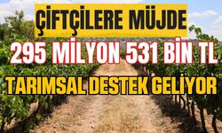 Çiftçilere müjde! 295 milyon 531 bin lira tarımsal destekleme hesaplara yatacak!