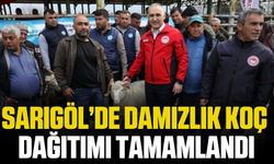 Sarıgöl'de koç dağıtımı yapıldı