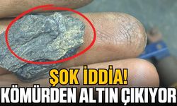 Şok iddia! Kömürden altın çıkıyor