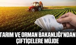 Tarım ve Orman Bakanlığı'ndan çiftçilere müjde