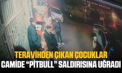 2 çocuk pitbull cinsi köpek tarafından saldırıya uğradı