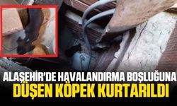 Alaşehir'de havalandırma boşluğuna düşen köpek kurtarıldı