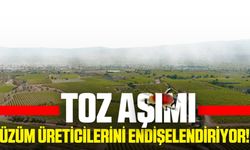 Sarıgöl'de Toz Aşımı Üzüm Üreticilerini Endişelendiriyor!