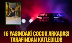 16 yaşındaki çocuk arkadaşı tarafından öldürüldü!