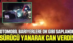 Bariyerlere ok gibi saplanan otomobil alev aldı: 1 ölü!