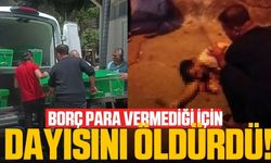 Para istediği dayısını olumsuz yanıt alınca öldürdü