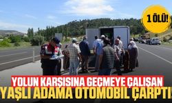 Yaşlı adama otomobil çarptı:  ölü!