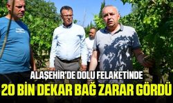 Başkan Öküzcüoğlu, fırtına ve dolunun vurduğu bağları inceledi