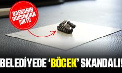 Belediye Başkanının Odasından Böcek Çıktı