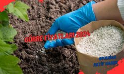 Gübre Fiyatları 2024 Güncel Fiyat Listesi! Gübretaş - İgsaş - Bagfaş - Toros