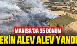 Manisa'da 35 dönüm ekin yandı!