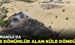 Kula'da makilik alanda yangın