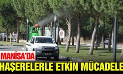 Manisa'da böcek ilaçlamaları yoğunlaştırıldı