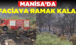 Manisa'da orman yangını büyümeden kontrol altına alındı