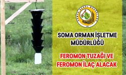 SOMA ORMAN İŞLETME MÜDÜRLÜĞÜ FEROMON TUZAĞI VE FEROMON İLAÇ ALACAK