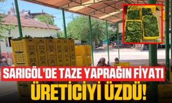 Taze yaprağın kilosu bağda 20 TL'ye düştü