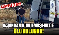 Yol kenarında başından vurulmuş halde ölü bulundu!