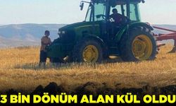 Batman'da 3 bin dönümlük alan yangında kül oldu