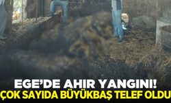 Ahırda çıkan yangın 5 hayvanı telef etti