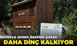 Sağlık sektöründe yeni trend apiturizm