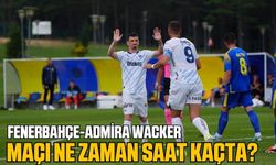 Fenerbahçe-Admira Wacker maçı nasıl izlenir? Fenerbahçe-Admira Wacker ne zaman ve saat kaçta?