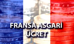 Fransa Asgari Ücret 2024: Yılı Yaşam Maliyeti ve Meslek Maaşları