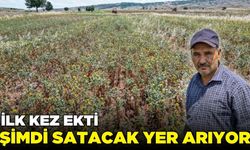 İlk defa ekti: Pazar sorunu yaşıyor