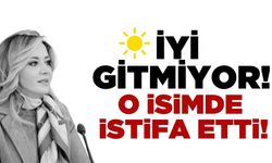 İYİ Parti'de yaprak dökümü  bitmiyor! Aylin Cesur'da istifa etti