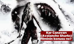 Kar Canavarı (Avalanche Sharks) filminin konusu ne oyuncuları kimler? Kar Canavarı filmi nerede çekildi?