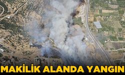 İzmir'de makilik alanda yangın çıktı