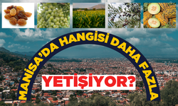 Manisa'da ne yetişir? Manisa'da en çok yetiştirilen tarımsal ürünler nelerdir?