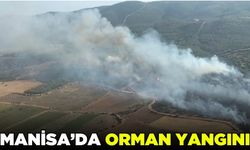 Gölmarmara'da orman yangını!