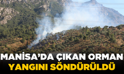 Manisa'nın Şehzadeler ilçesindeki orman yangını söndürüldü