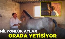 Suruç'tan hipodromlara uzanan başarı öyküsü