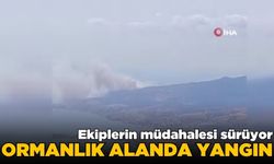 İzmir'de orman yangını tehlikesi devam ediyor