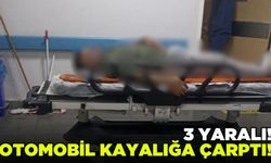 Otomobil kayalığa çarptı: 3 yaralı