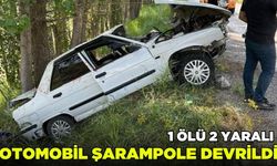 Otomobil şarampole devrildi: 1 ölü 2 yaralı