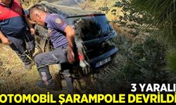 Aydın'da otomobil şarampole devrildi: 3 yaralı