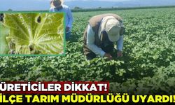 Salihli İlçe Tarım Müdürlüğü uyardı!