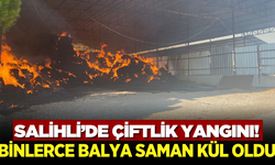 Salihli'de çiftlikte yangın