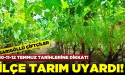 Sarıgöl İlçe Tarımdan çiftçilere uyarı!