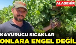 Alaşehir'de tarım işçileri  kavurucu sıcağa meydan okuyor!