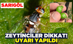 Tarım Müdürlüklerinden Zeytin Çiftçisine Uyarı Geldi