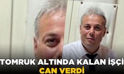 Orman işçisi tomruk altında can verdi