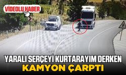 Serçeyi kurtarmak isterken kamyon çarptı