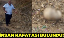 Yol ortasında insan kafatası bulundu